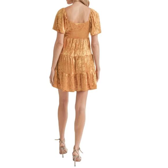 NWT ALL In FAVOR NORDSTROM Gold Flutter Sleeve Crushed Velvet Mini Dress Size XS - Picture 2 of 7